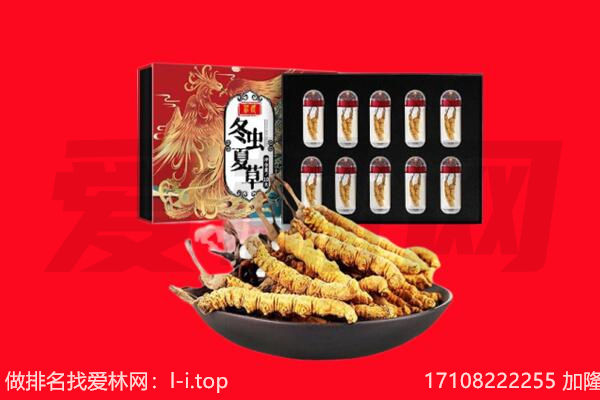 大同云州区回收虫草.jpg